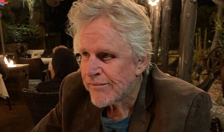 Gary Busey Charged With Sexual Offenses